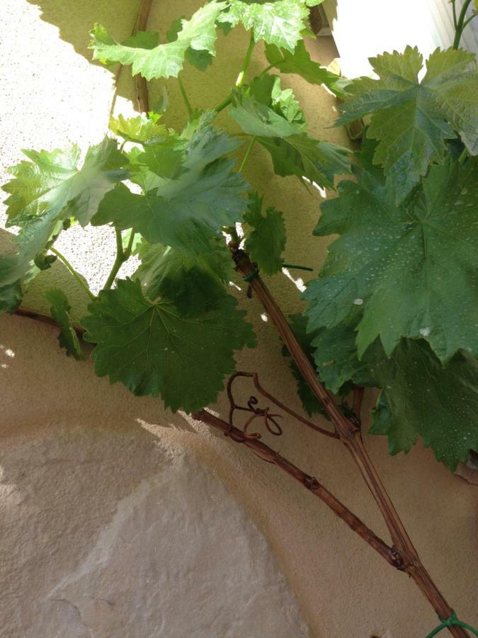 Casa 28 Bed & Breakfast Canosa di Puglia Luaran gambar