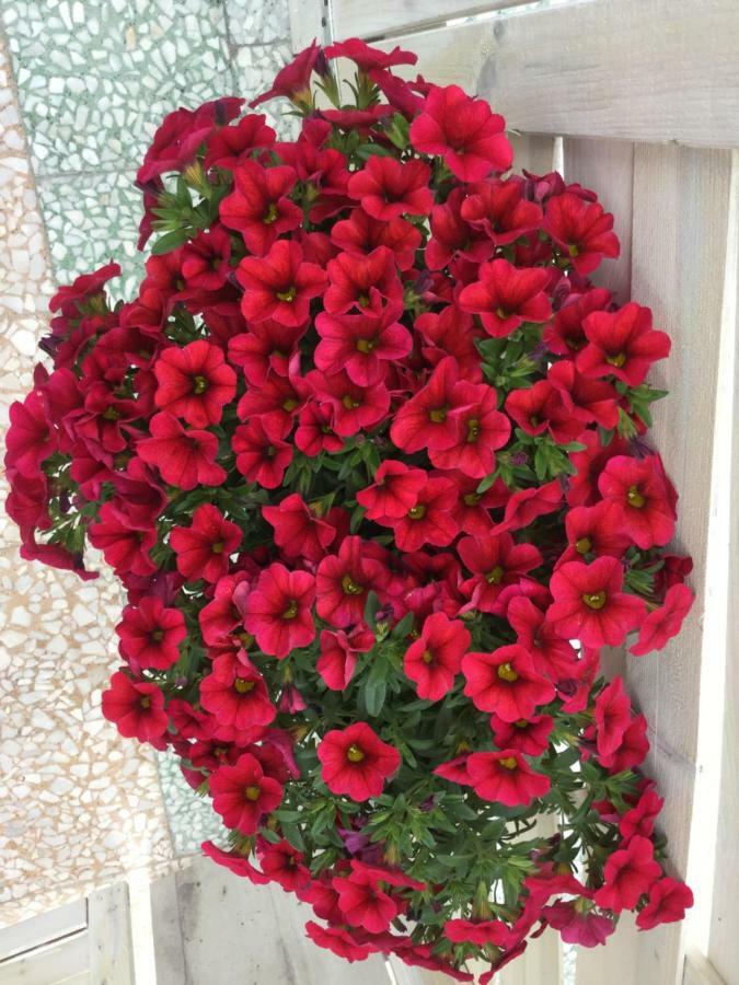 Casa 28 Bed & Breakfast Canosa di Puglia Luaran gambar